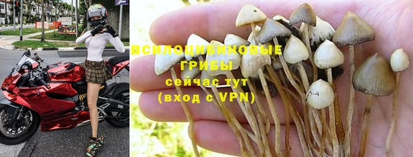 экстази Горнозаводск