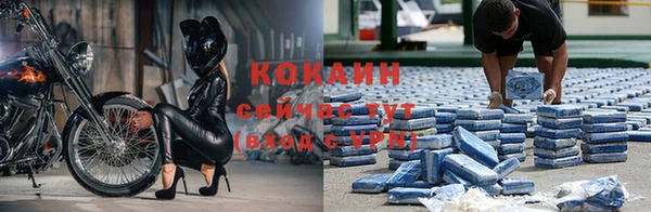 ГАЛЛЮЦИНОГЕННЫЕ ГРИБЫ Вяземский