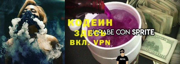 ГАЛЛЮЦИНОГЕННЫЕ ГРИБЫ Вяземский